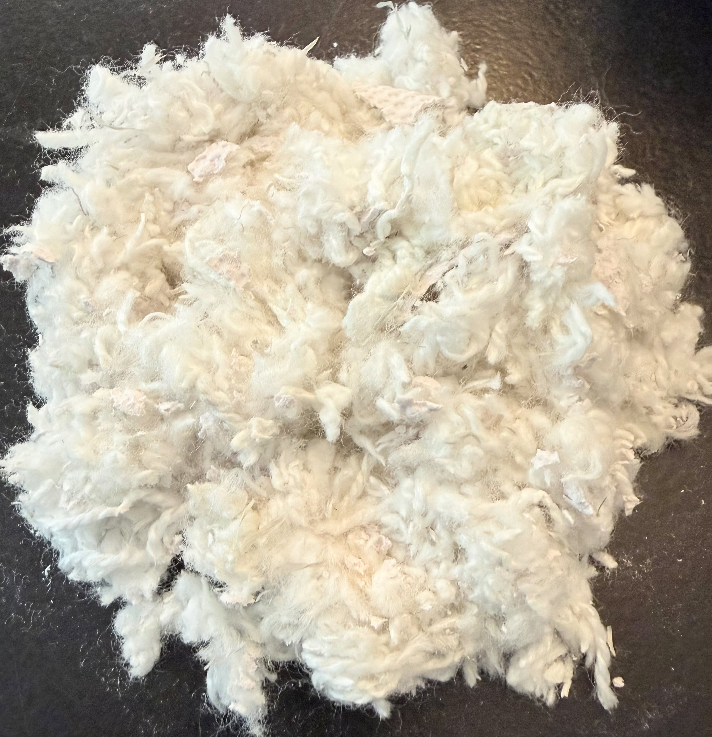 FIberTec - Western AUg 2026