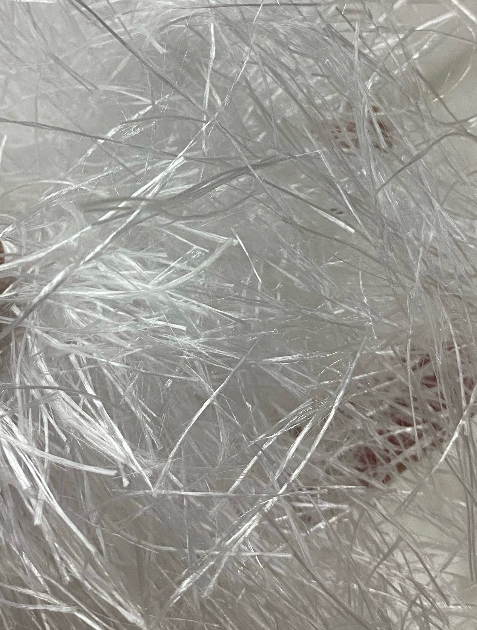 Fiber PES Aug 2026